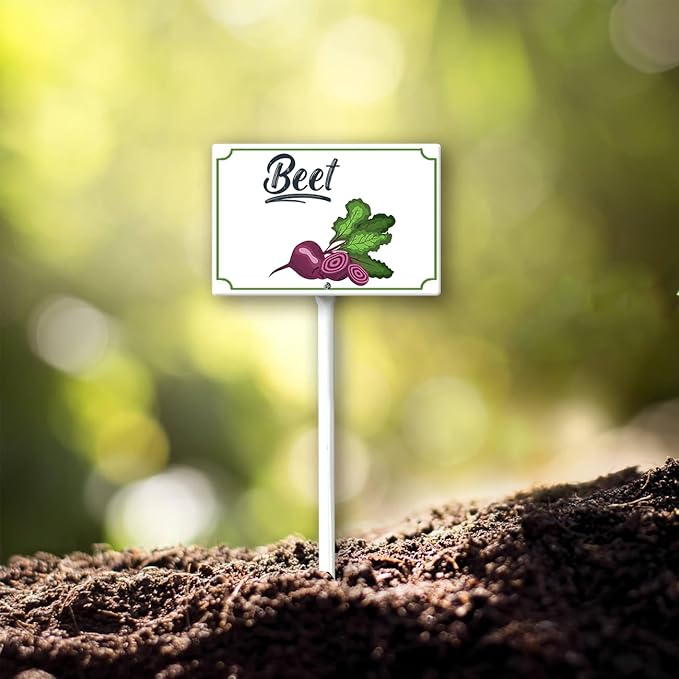 Boylee Vegetable Signs With Stake Ripe Red Beets Garden Signs For Vegetables Herb Garden Signs Garden Name Stakes For Plants 8x12inch Outdoor Indoor Herbs Flowers Potted Plants