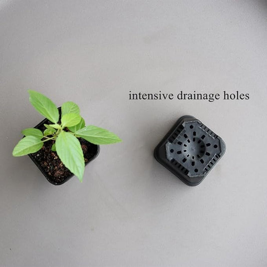 BangQiao 200 Pack 1.95 Inch Tiny Black Plastic Square Nursery and Seedling Pot, Mini Transplant Seed Starter Planter with Drain Hole for Germination, Herb, Succulent