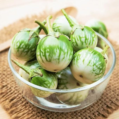 TomorrowSeeds - Petch Siam Thai Eggplant Seeds - 200+ Count & 200+ Purple Shine F1 Chinese Eggplant - for 2026 Planting Small Green Brinjal Baby Round Egg Aubergine Eggplants Melongene USA Garden