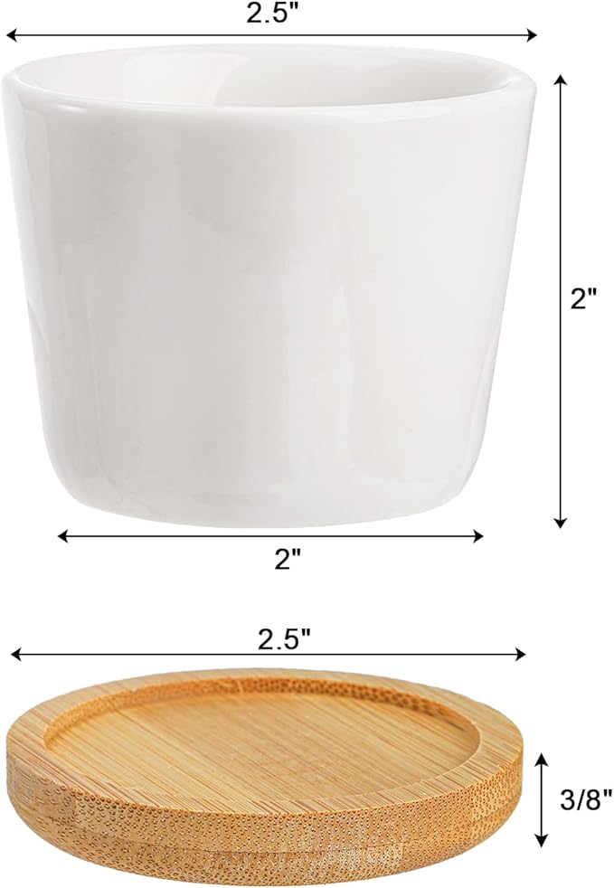 Tosnail 12 Pack 2.5 Inch Small Succulent Pots with 12 Bamboo Trays, Round White Ceramic Mini Plant Pots, Tiny Succulent Planters, Cactus, Flower, Air Plant Containers, Modern Home and Office Decor