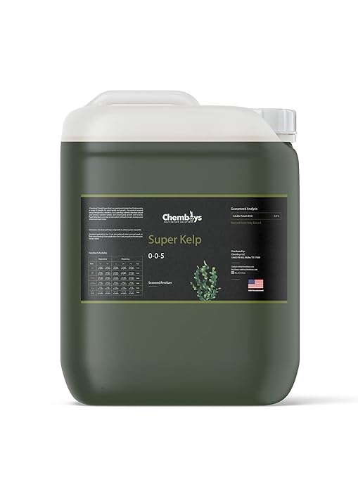 Chemboys Super Kelp Liquid Seaweed Fertilizer – Kelp Plant Food Supplement for Plant Growth Bloom & Yield Boost – Liquid Kelp Seaweed Concentrate Garden Fertilizer - 55 Gallon Drum