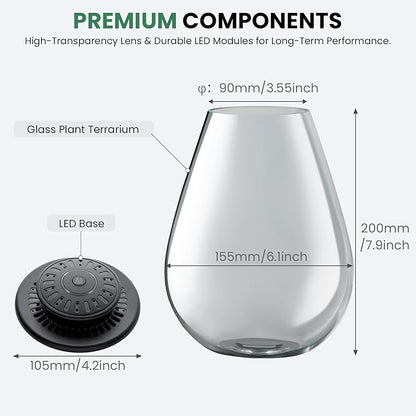 Glass Plant Terrarium with UFO LED Light, Large Terrarium for Venus Fly Trap Live Plant with LED Light & Ventilation, for Plants Ideal for Succulents,Home Office Desk Decor, 7.8" Tall