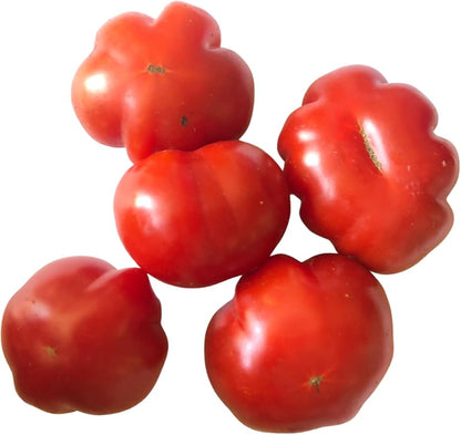 Smoke Camp Crafts Mini Wrinkles Cherry Tomato (Solanum lycopersicum) 150 Organic Seeds (0.5 gram) - Pleated Cherry Tomato