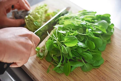 Seeds Garden Cress Broadleaf Indoor Lettuce Heirloom Vegetable for Planting Non GMO