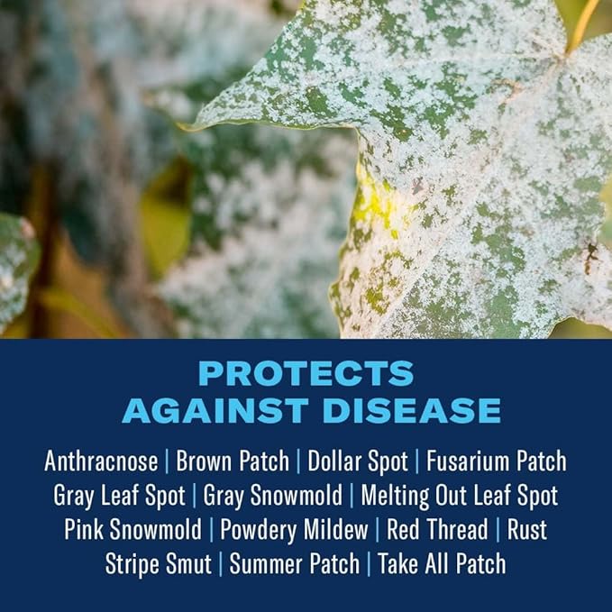 BioAdvanced Fungus Control for Lawns, Granules, 10 lb