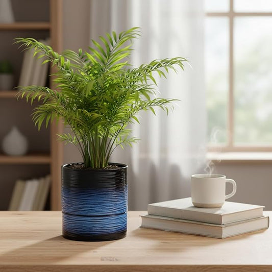 Nihow Self Watering Plant Pot: 6 Inch Ceramic Planter with Drainage Hole & Water Storage Plus for Indoor & Outdoor Plants - Cylinder Round Flower Pot for Succulent/Herbs/Violets - Black & Vivid Blue