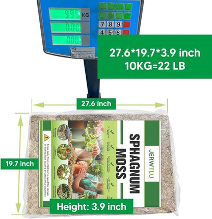 Natural Long Fiber Sphagnum Moss 1196QT for Orchid Potting Mix, and Moss Pole for Plants Indoor. Ideal for Propagating Plants, Maintaining Humidity for Reptiles, Isopods in Paludarium (22 lb)