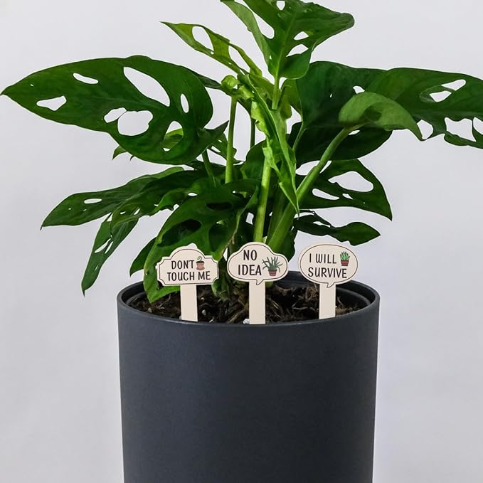 HANABASS 15 Pcs Plant Signs Labels Decorative Plant Stakes Wooden Tags Waterproof Garden Markers with Interesting Words&Pettern for Succulent, Greenery, Flower