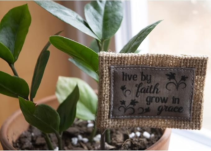 Cathedral Art Abbey & CA Gift Live by Faith Flag Flower Pick, One Size, Multi