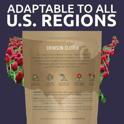 Crimson Clover Seeds for Planting – Bulk 1 Pound Bag – Over 80,000 Open Pollinated Non-GMO Seeds – Trifolium incarnatum