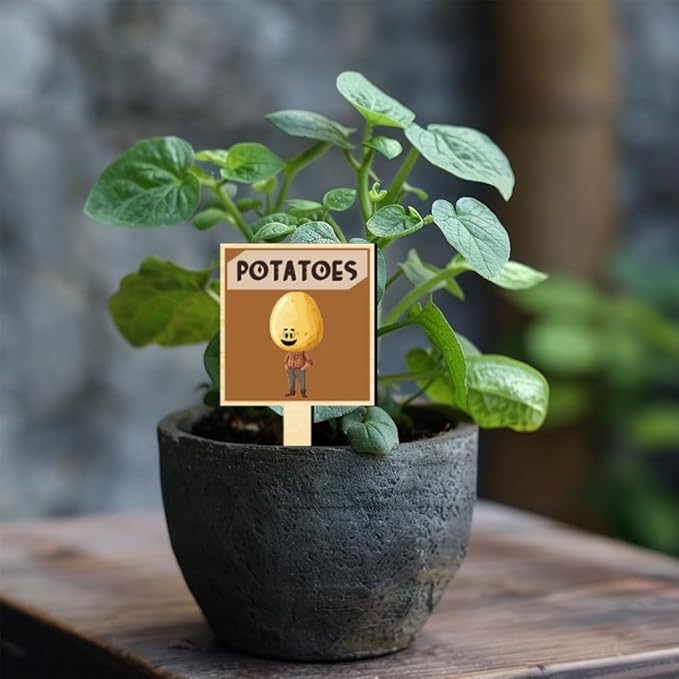arricraft 15 Pcs Wooden Plant Tags, Vegetable Anthropomorphic Pattern Plant Tags Colorful T-Shaped Plant Markers Bulk for Indoor Outdoor Lab Garden Nursery Potted Plant Markers