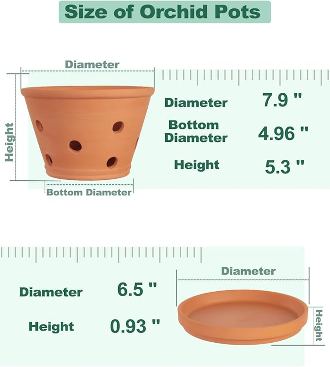 vensovo 8 Inch Terracotta Orchid Pots with Holes and Saucers, 2 Pack Large Clay Planters for Repotting, Terra Cotta Pots for Indoor & Outdoor Plants, Promotes Air Circulation