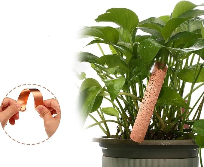 10 Pcs Copper Plant Name Tags Metal Tree Tags Long Garden Plant Labels Waterproof Garden Plant Markers with Copper Ties