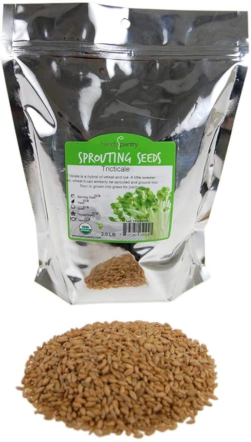 Organic Triticale Seeds- 2.5 Lbs- Triticale Grain Seed: Sprouting Sprouts, Cooking, Grind Flour, Food Storage & More