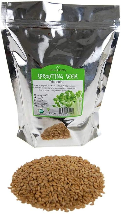 Organic Triticale Seeds- 2.5 Lbs- Triticale Grain Seed: Sprouting Sprouts, Cooking, Grind Flour, Food Storage & More