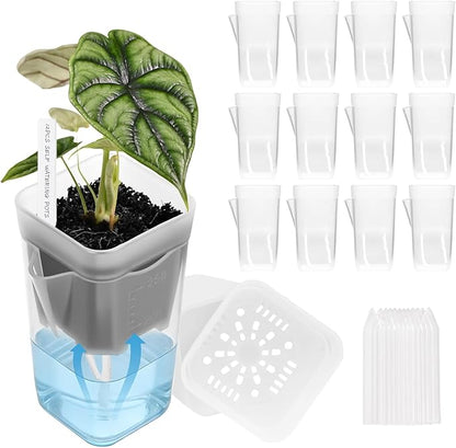 12 Pack 2.5" Small Self-Watering Planter Pots - Mini Clear Seed Starter Pots with Visible Water Level, Plastic Nursery Pots for Succulents, Herbs, and Propagation - Includes 12 Plant Labels
