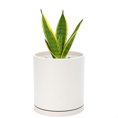 D'vine Dev Double-Layer Planter Set – Rotating Plastic Cachepot with Clear Inner Liner for Root Health, Perfect for Indoor Plants, 4.5", Oatmeal, 73-U-D-1