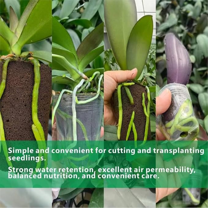 Coconut Coir Sponges for Moth Orchids - Natural Plant Growing Media, Epiphytic Plant Aeration, Moisture Control Sponge Pads for Potting Mix Amendment (2-Pack)