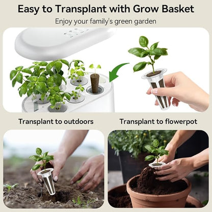 inbloom Fragrant Bouquet Flower Seed Pod Kit for AeroGarden, iDoo, Ahopegarden, GARDENCUBE, 7 Pods (350+ Flower Seeds with Sunflower, Mexican Marigold, Cockscomb, French Marigold, Dahlia)