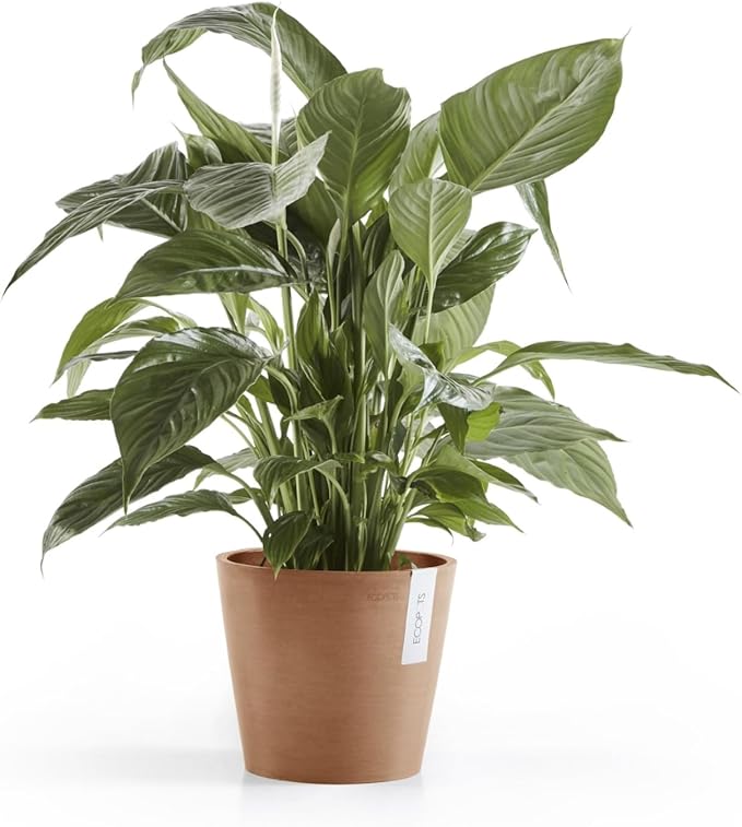 Ecopots Amsterdam Durable Modern Round Indoor/Outdoor Recycled-Based Composite Flower Pot Planter, Terracotta Color, 8"