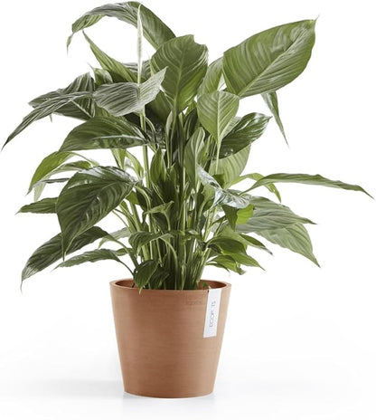 Ecopots Amsterdam Durable Modern Round Indoor/Outdoor Recycled-Based Composite Flower Pot Planter, Terracotta Color, 8"