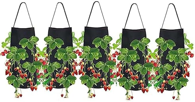 Ulalaza 5PCS Potato Grow Bags with Flap Plant Grow Bags Fabric Multi Ribbon Potato Bag Tomato Vegetable Growth Non-Woven Felt Planting Bag Transparent