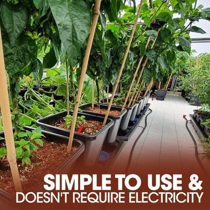 AutoPot 1Pot Systems, 1-100 Pots (2.2g, 80 Pot with Reservoir)