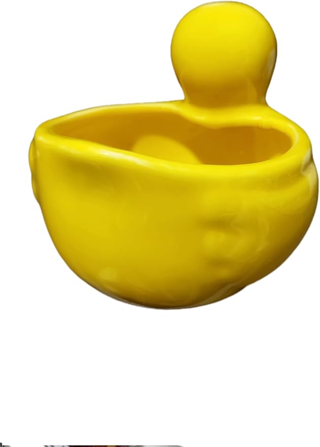 Cute Indoor Cartoon Animal Duck Shaped Ceramic Succulent Cactus Flower Plant Pots Planter with Drainage Hole - Plant Not Included (Medium)