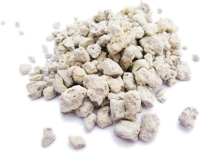 Nature's Footprint Pumice 3G 3 gallon Soil Amendment, Medium