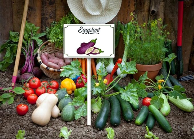 Boylee 8x12inch Eggplant Garden Signs with Stake for Vegetables, Herbs, Flowers, Potted Plants