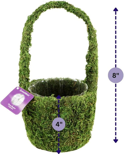 SuperMoss (55591) Vista Deco Moss Basket – Decorative Planter with Liner for Indoor & Outdoor Floral Arrangements – Ideal for Succulents, Orchids & Gifts, Small 4.5″ x 5.5″ x 8″, Fresh Green