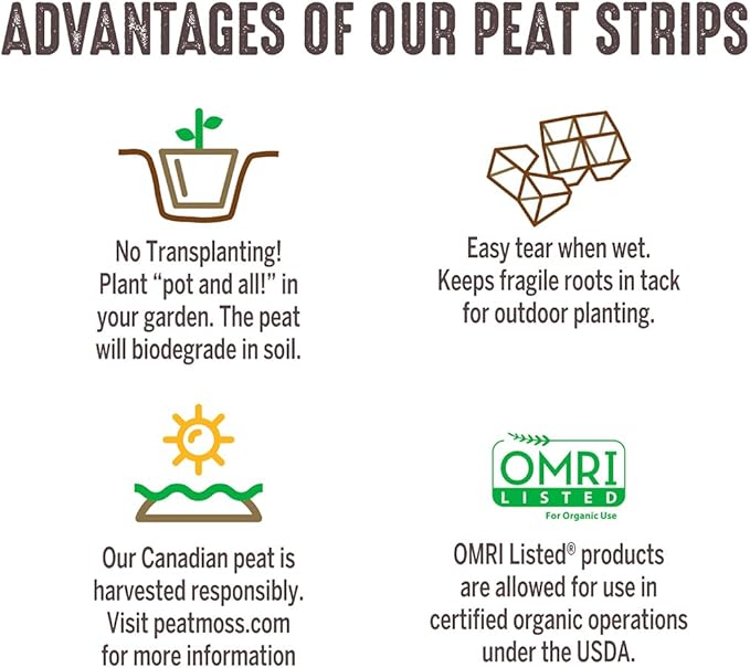Jiffy Seed Starting Strips - Biodegradable, Plant Starter Pots, 10 Cell, 50 Strips - Peat