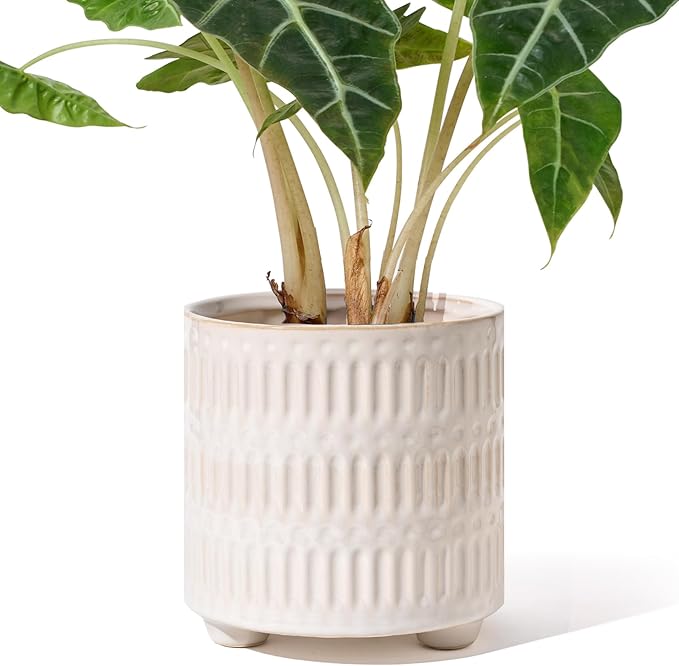 5 Inch Ceramic Planters for Indoor Plants, White Cactus Snake Plant Pots with Drainage, Unique Design Round Flower Pot for Home Decoration