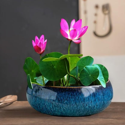 Lotus Bowl Planter, Lotus Bowls for Planting in Water Indoors, Bonsai Bowl Lotus Flower Seeds, Ceramic Planters for Indoor Plants (Dark Blue)