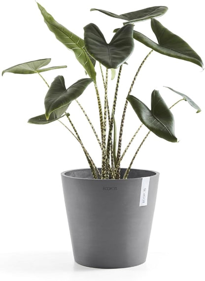 Ecopots Amsterdam Durable Modern Round Indoor/Outdoor Recycled-Based Composite Flower Pot Planter, Grey, 10"