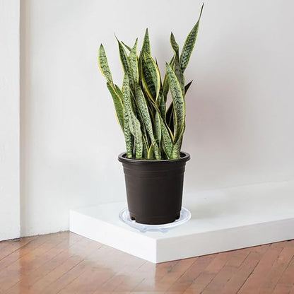 6 Pack of Plant Saucer, 6 inch Clear Plant Trays for Pots, Plant Water Catcher Tray, Plant Plate for Indoors Outdoors