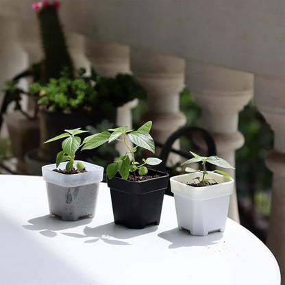 BangQiao 200 Pack 1.95 Inch Tiny Black Plastic Square Nursery and Seedling Pot, Mini Transplant Seed Starter Planter with Drain Hole for Germination, Herb, Succulent
