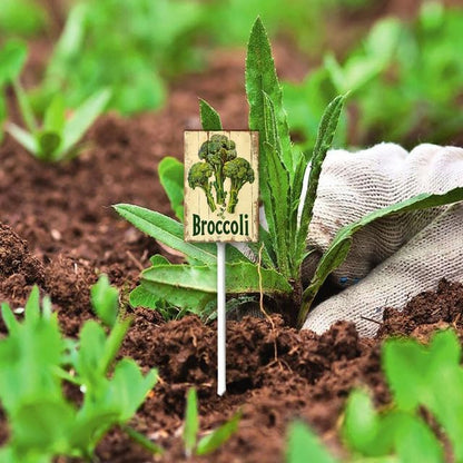 Uptell Vintage Vegetable Signs for Garden with Stake Broccoli Yard Sign Vegetable Garden Label Stakes Plant Markers for Outdoor Plants Waterproof 8.8x7inch