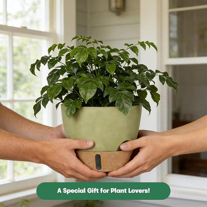Self-Watering Hanging Planters for Indoor Plants Set 2-Piece Includes Plant Hanging Pot, Drainage-Hole Hanging Pot, and Hanging Basket Rack (10 Inches, Green)