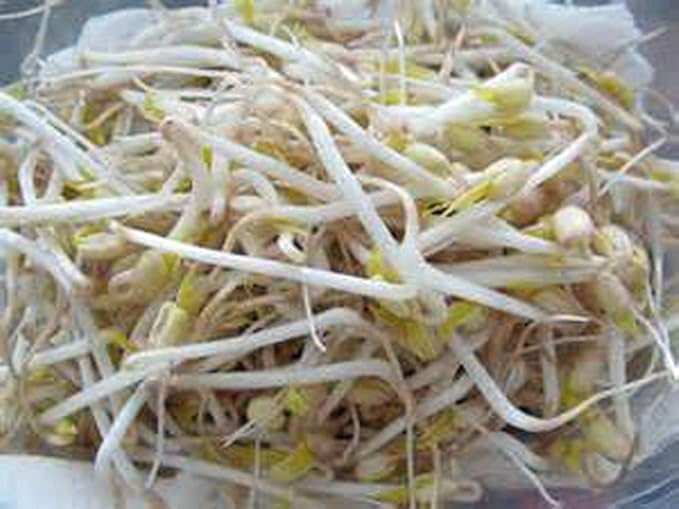 Mung Bean Sprouting Seed - 12 Oz - Country Creek Brand - Dried Mung Beans for Sprouts, Garden Planting, Chinese & Asian Cooking, Soup & More