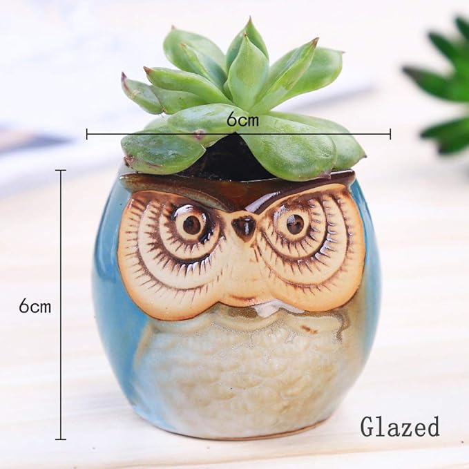 6 Pcs 2.5 Inches Owl Pots, Little Ceramic Succulent Bonsai Pots with a Hole - Pack of 6