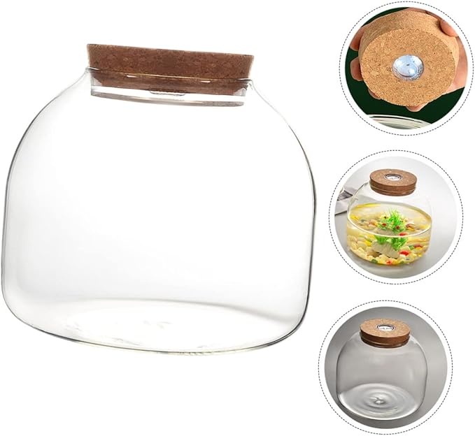 iplusmile 4pcs Landscape Glass Terrarium for Hydroponic Plants Elegant Display Container for Decor for Fish Tanks and Miniature Gardens