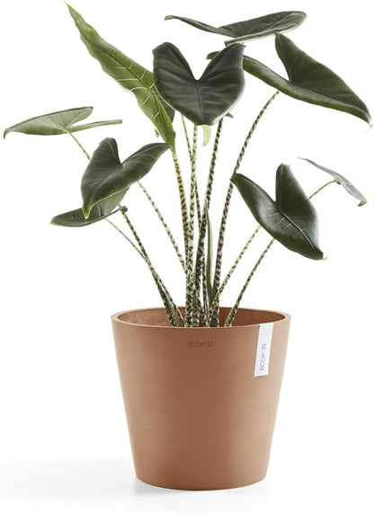 Ecopots Amsterdam Durable Modern Round Indoor/Outdoor Recycled-Based Composite Flower Pot Planter, Terracotta Color, 12"