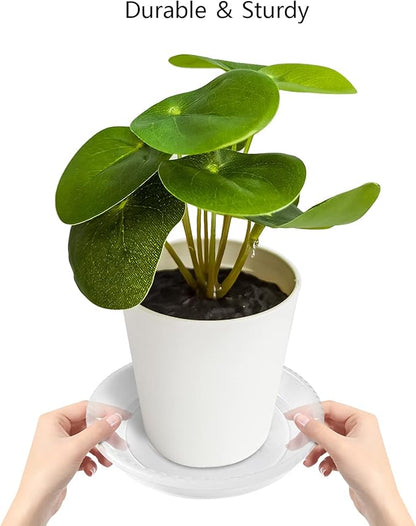 6 Pack of 14 Inch Clear Plant Saucer, Durable Plastic Plant Trays for Indoor, Flower Plant Pot Saucer, Sturdy Plant Water Catcher Tray
