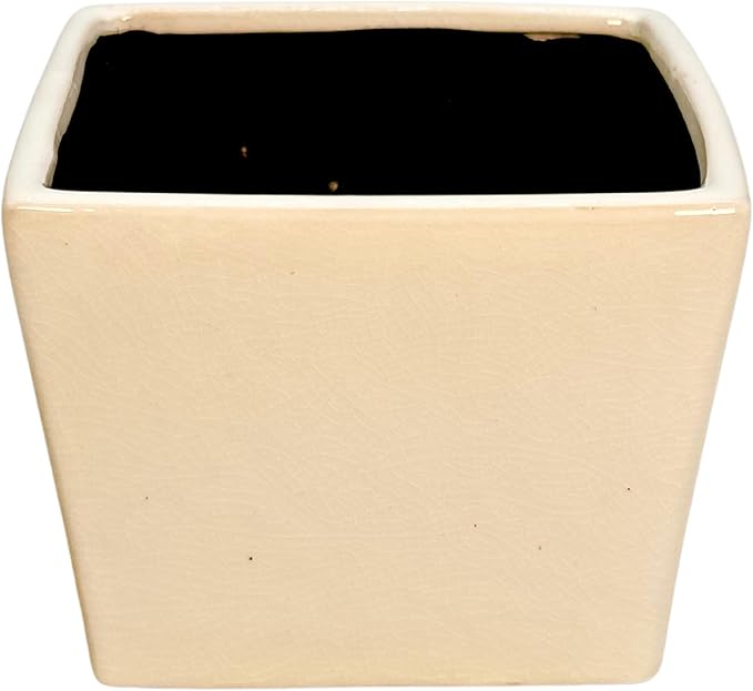 Admired by Nature 6" Ceramic Flower Planter Pot - for Home Decor, Indoor Gardens, Succulents, Organization, Display, Storage - Large White