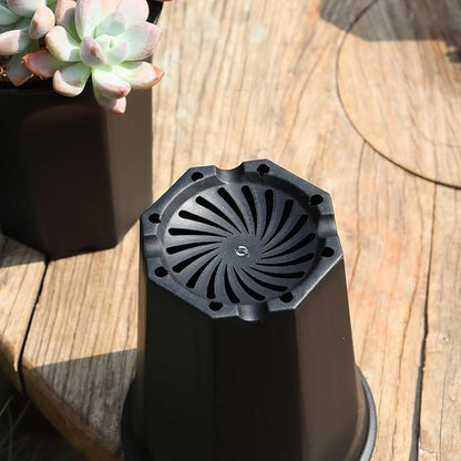 BangQiao 8 Pack 6.10 Inch Black Plastic Deep Nursery and Seedling Pots, Round Planter Container for Transplanting, Cutting, Succulent