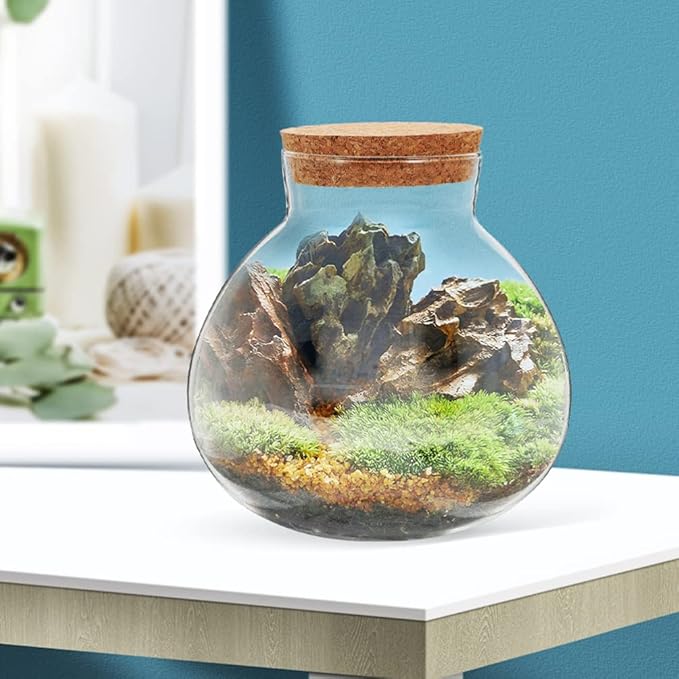 2Pcs Airtight Glass Terrarium Bottles 5.11 Inch Round Sealed Planters with Cork Lid for Succulent Plants Micro Landscape Home Decor