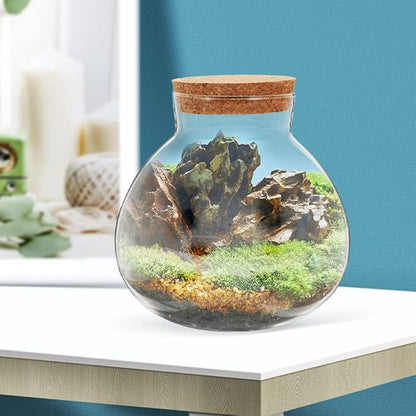 2Pcs Airtight Glass Terrarium Bottles 5.11 Inch Round Sealed Planters with Cork Lid for Succulent Plants Micro Landscape Home Decor