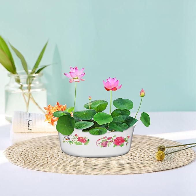 6pcs Hydroponic Planter Lotus Flower Pot 6.7 Inch Water Lily Narcissus Planting Bowls Plastic Flower Pot Plant Container Fish Bowl Plant Succulent Holder Pot