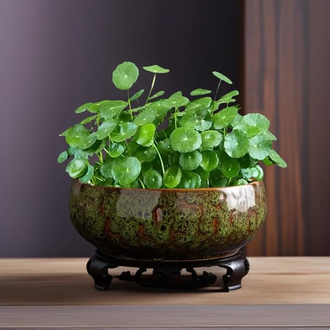 Lotus Bowl Planter, Lotus Bowls for Planting in Water Indoors, Bonsai Bowl Lotus Flower Seeds, Ceramic Planters for Indoor Plants (Green)